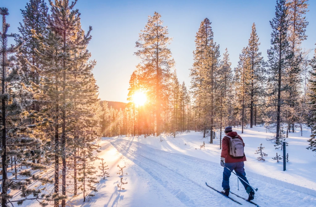 A person cross-country skiing on a snowy trail through a forest at sunrise.