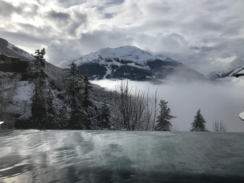 Paesaggio montano invernale nebbioso con alberi innevati e montagne sullo sfondo.