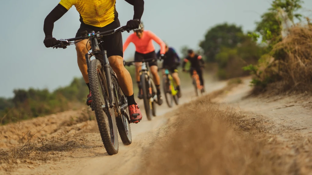 Cyclists riding mountain bikes on a dirt trail.