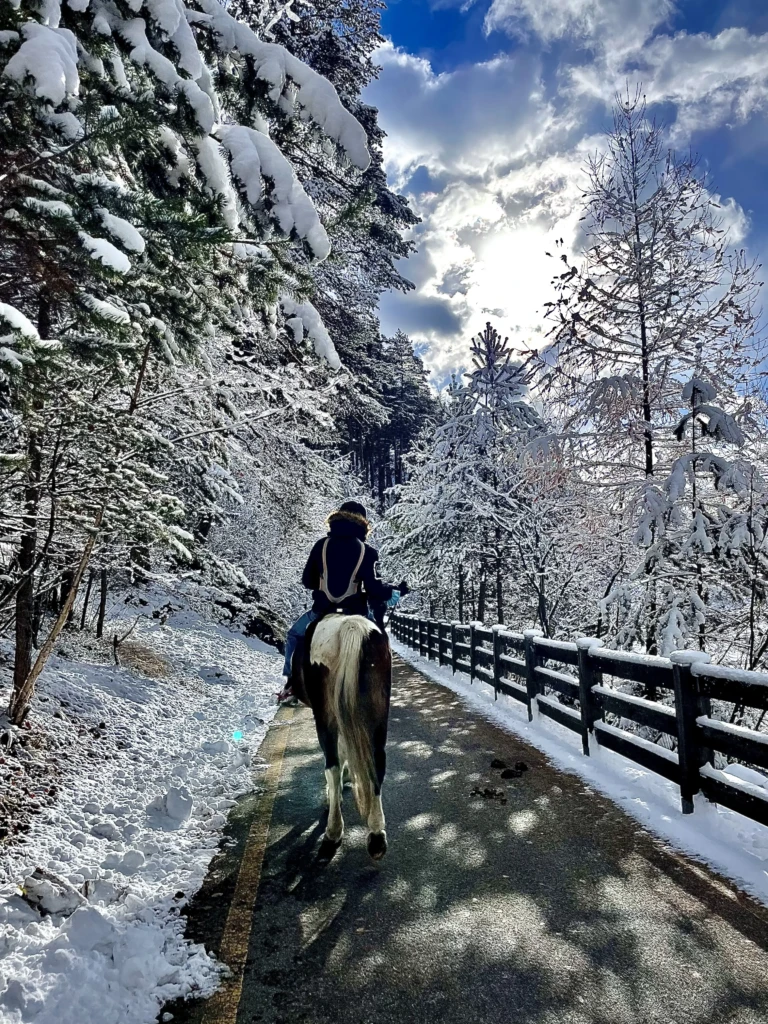Persona a cavallo lungo un sentiero innevato in una foresta sotto un cielo nuvoloso.
