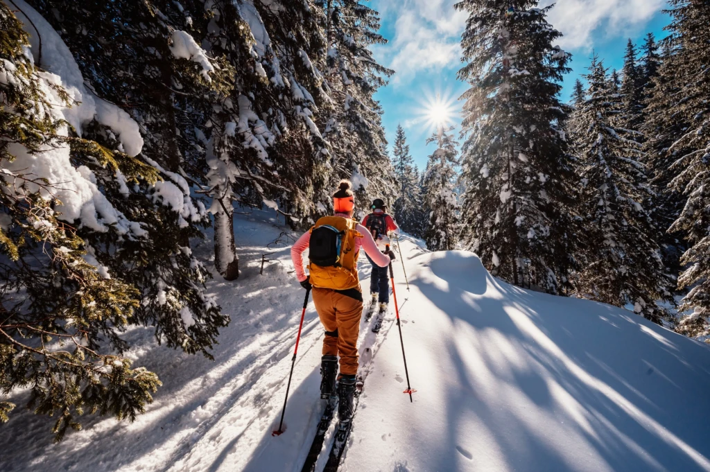 Persone che fanno sci di fondo in un bosco innevato sotto il sole.